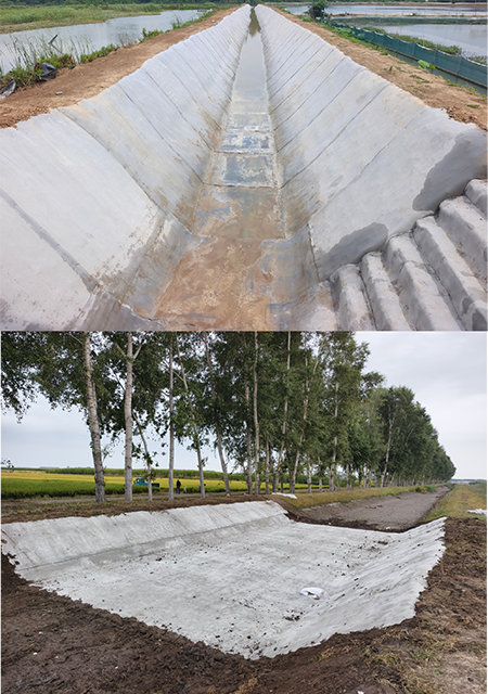 Channel Lining