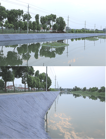 Fish Pond Lining