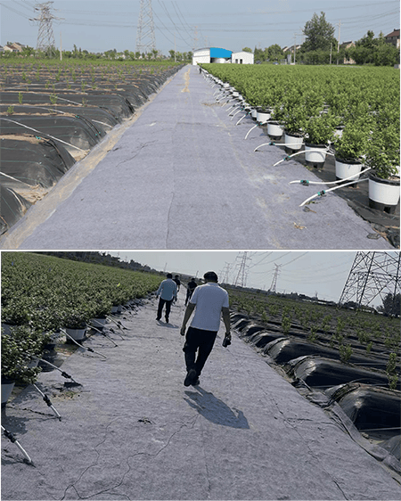 Road Lining