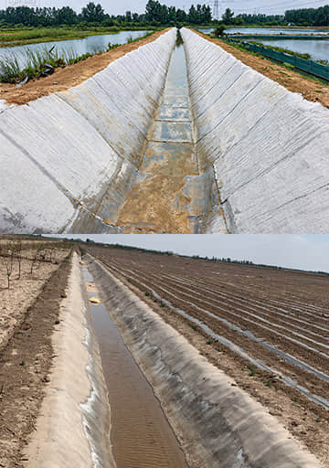 Channel Lining