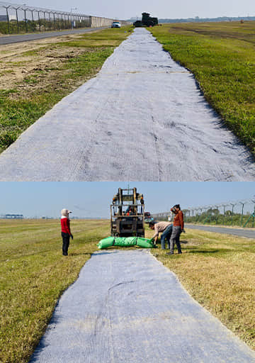 Weed Suppression