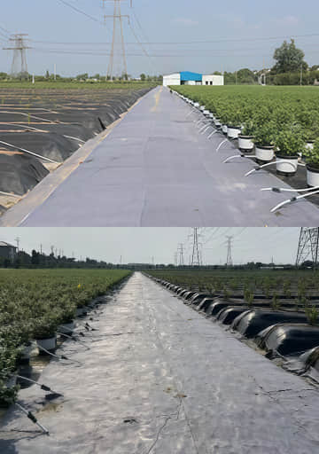 Road Lining